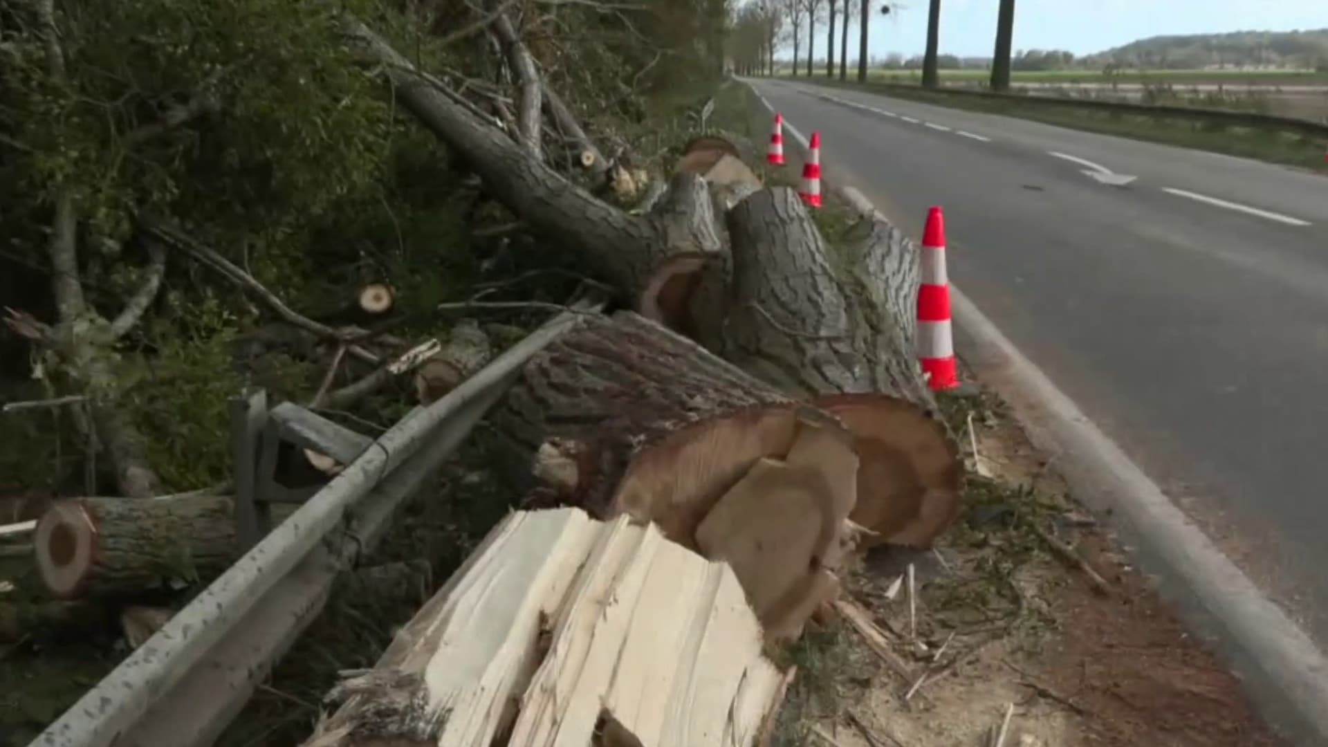 Un arbre dégagé sur le bord de route, après qu'un accident a causé la mort d'un chauffeur poids lourds en lien avec la tempête Ciaran, dans l'Aisne, le 2 novembre 2023 Un arbre dégagé sur le bord de route, après qu'un accident a causé la mort d'un chauffeur poids lourds en lien avec la tempête Ciaran, dans l'Aisne, le 2 novembre 2023