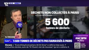 Déchets à Paris: pour le maire du 6e arrondissement, "il est de la responsabilité d'Anne Hidalgo de ne pas laisser la situation pourrir"