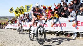 Mathieu Van der Poel sur le Tour des Flandres, le 6 avril 2025