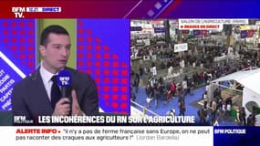 "Pourquoi nous combattre sur des arguments malhonnêtes? ":  Jordan Bardella dément le projet du RN de sortir de l'UE et du marché commun