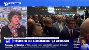 Colère des agriculteurs: "Ça nous afflige que cette crise soit utilisée à des fins politiques" affirme Véronique Marchesseau (Confédération paysanne)
