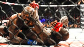 Cheick Kongo au Bellator