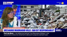 Marseille: qui a la charge de nettoyer la décharge sauvage de Madrague-ville?