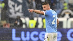 Sergej Milinkovic-Savic