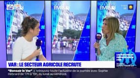 C Votre Emploi : Le secteur agricole recrute.