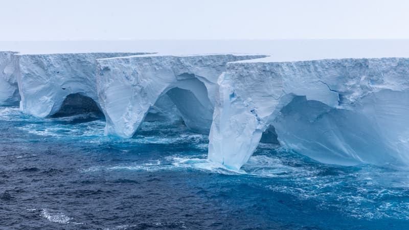 Antarctique: le plus grand iceberg du monde s'est échoué au large d'une île riche en faune sauvage