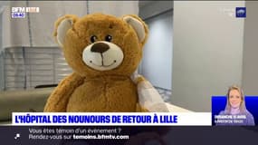 Lille: retour de l'hôpital des nounours 