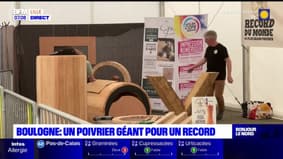Boulogne-sur-Mer: un poivrier géant pour un record