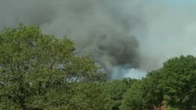 Le feu survenu dans la forêt de Brocéliande s'est déclaré dans la nuit de jeudi à vendredi. Il a désormais parcouru plus de 230 hectares.
