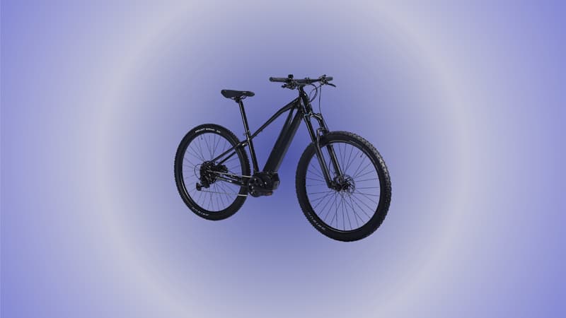 Intersport est déterminé à défier la concurrence avec cette promo inattendue sur ce vélo électrique 