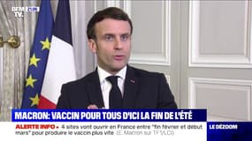 Emmanuel Macron: "D'ici à la fin de l'été, nous aurons proposé en France, à tous les Français adultes qui le souhaitent, un vaccin"