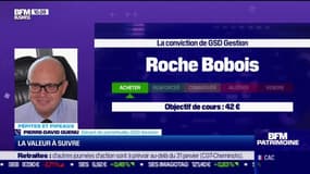 Pépites & Pipeaux: Roche Bobois - 20/01