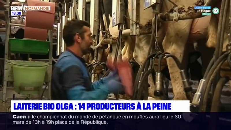 Ils nous lâchent: la laiterie bio Olga arrête sa collaboration avec 14 producteurs