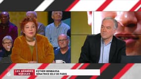 Affaire Benalla : " Je ne peux pas croire qu’un personnage comme lui ait utilisé, par bêtise, 23 fois son passeport diplomatique ! "