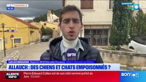 JT du Sud du mercredi 12 mars