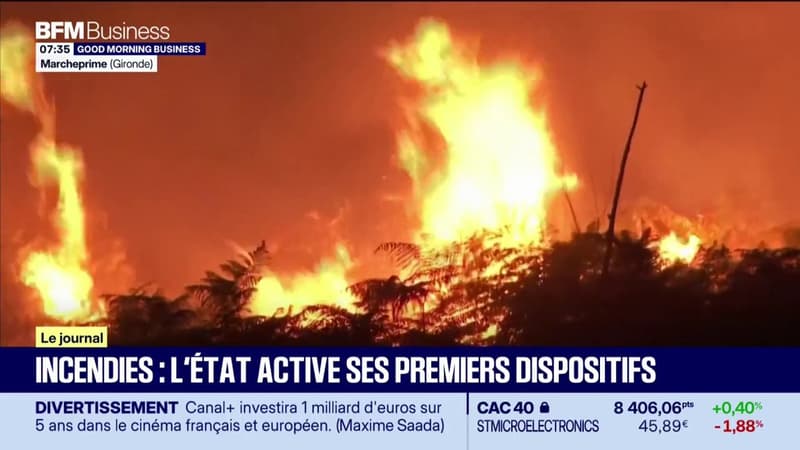Incendies : l'État active ses premiers dispositifs