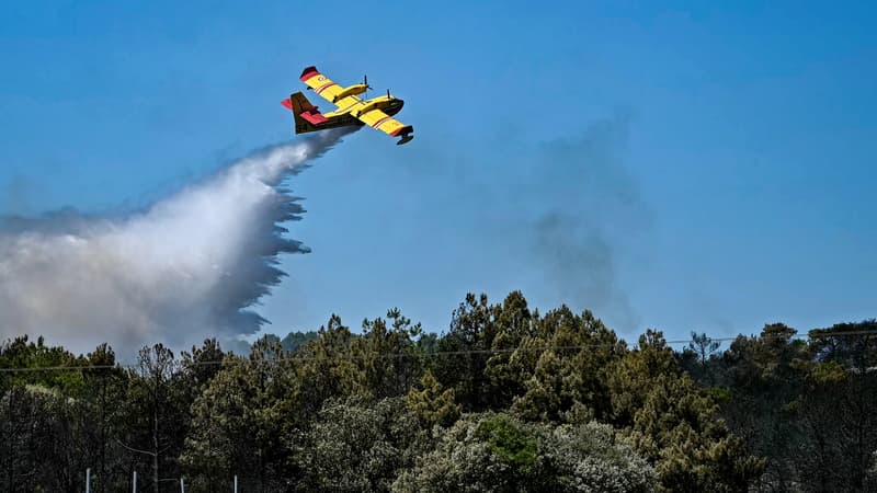 DIRECT. Feux de forêt: deux hommes suspectés d'avoir allumé des incendies interpellés dans le Rhône et l'Hérault