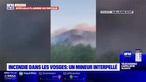 Incendie dans les Vosges: un mineur interpellé, le procès prévu en septembre