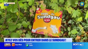 Sundgau: un jeu de société pour mieux connaître le sud de l'Alsace