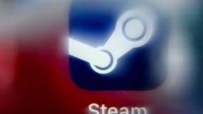 La plateforme Steam