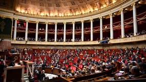 L'Assemblée nationale. (Photo d'illustration)