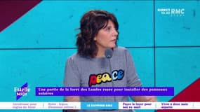 Une partie de la forêt des Landes rasée pour installer des panneaux solaires "On détruit la forêt pour mettre des panneaux solaires, c'est absurde et ça dessert totalement la cause environnementale" s'indigne Pierre Rondeau.