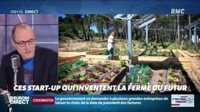 "C’est déjà demain": ces start-up qui inventent la ferme du futur
