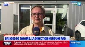 Wittenheim: les salariés en situation de handicap de l’Adapei-Papillons Blancs continuent la grève