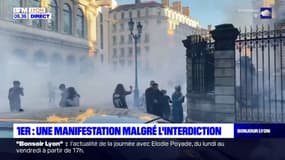 Lyon: 300 personnes manifestent en soutien aux Soulèvements de la Terre