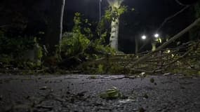Des arbres sont tombés sur les routes à Nogent-sur-Marne.