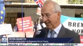 Pour Peter Ricketts, "le pari de Johnson, s'il est un peu ambigu, un peu flou sur le départ du Royaume-Uni le 31 octobre, Farage gagne". 