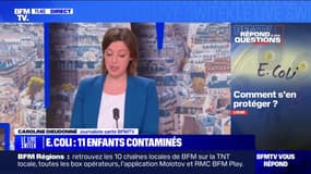 E.Coli : pourquoi la bactérie est-elle dangereuse et comment s'en protéger ? BFMTV répond à vos questions