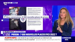 LA VÉRIF - 7000 nouvelles places de prison pourront-elles voir le jour d'ici 2022 ? 