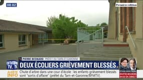 Chute d'arbre dans une cour d'école: "Les deux enfants sont sortis d'affaire" annonce le préfet du Tarn-et-Garonne
