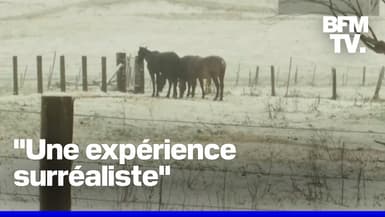 De fortes chutes de neige ont recouvert plusieurs États australiens 