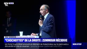 Pour Éric Zemmour, les dirigeants LR sont "peureux, pusillanimes"