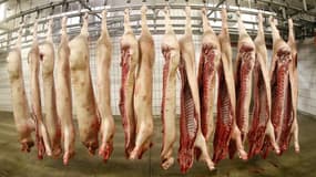 Pour le journaliste Fabrice Nicolini, la viande est aujourd’hui « une industrie commandée par des fonds de pension »
