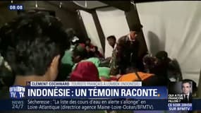 Tremblement de terre en Indonésie:  "on a vu tout bouger, la route se déformer, les arbres bouger, les pierres tomber" témoigne un touriste français