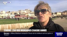 "Il m'a sauté au visage": 250.000 morsures de chiens par an, un traumatisme pour les victimes