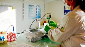 Plusieurs sociétés françaises se lancent dans les tests sérologiques. Ils sont réalisés à partir d'une prise de sang pour détecter la réponse immunitaire de l'organisme, via des anticorps fabriqués contre le virus par le patient testé.