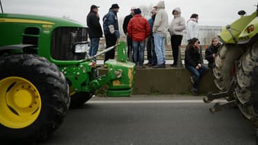 Les agriculteurs ont manifesté à Rennes ce mercredi.
