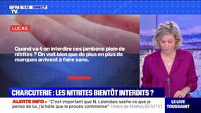 Les nitrites seront-t-ils bientôt interdits dans la charcuterie?  BFMTV répond à vos questions