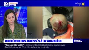 "Je suis très touché": deux éboueurs agressés dans le quartier de la Sauvagère