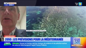 Planète Locale du mercredi 11 juin - 2050 : Les prévisions pour la Méditerranée