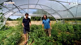 m2A, territoire de tous les possibles : Ferme Schildknecht