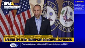 Des élus démocrates dévoilent de nouvelles photos d’Epstein aux côtés de Donald Trump