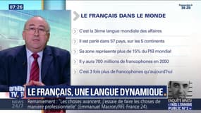 Francophonie, un potentiel négligé