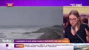 Trois membres d'une même famille emportés par une vague