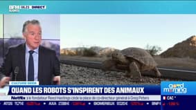 Culture Geek : Quand les robots s'inspirent des animaux, par Frédéric Simottel - 20/01