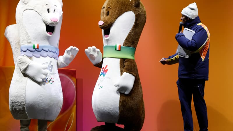 Les hermines, adorables mascottes des JO 2026, sont menacées par le réchauffement climatique